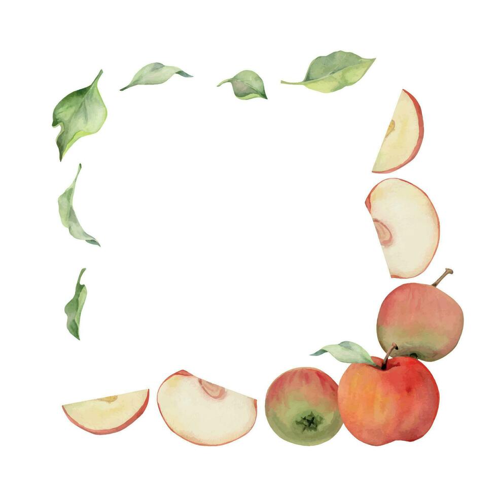 Hand drawn watercolor apple fruits, ripe full and slices, red and green. Square frame composition. Isolated object on white background. Design for wall art, wedding, print, fabric, cover, card. vector