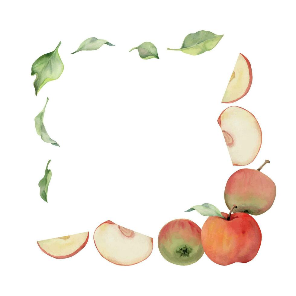 mano dibujado acuarela manzana frutas, maduro lleno y rebanadas, rojo y verde. cuadrado marco composición. aislado objeto en blanco antecedentes. diseño para pared arte, boda, imprimir, tela, cubrir, tarjeta. vector