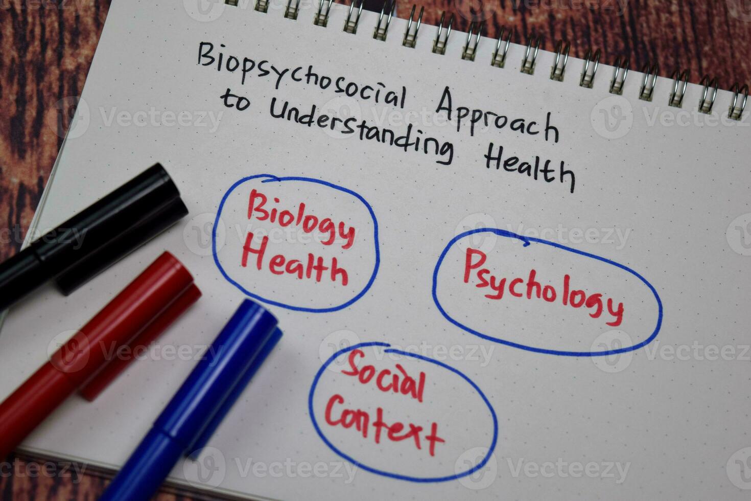 Biopsychosocial Approach to Understanding Health Method text with keywords isolated on white book background. Chart or mechanism concept. photo