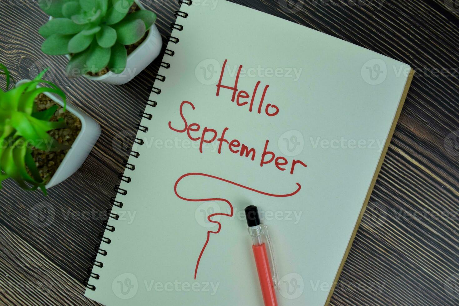 Concept of Hello September write on a book isolated on Wooden Table. photo