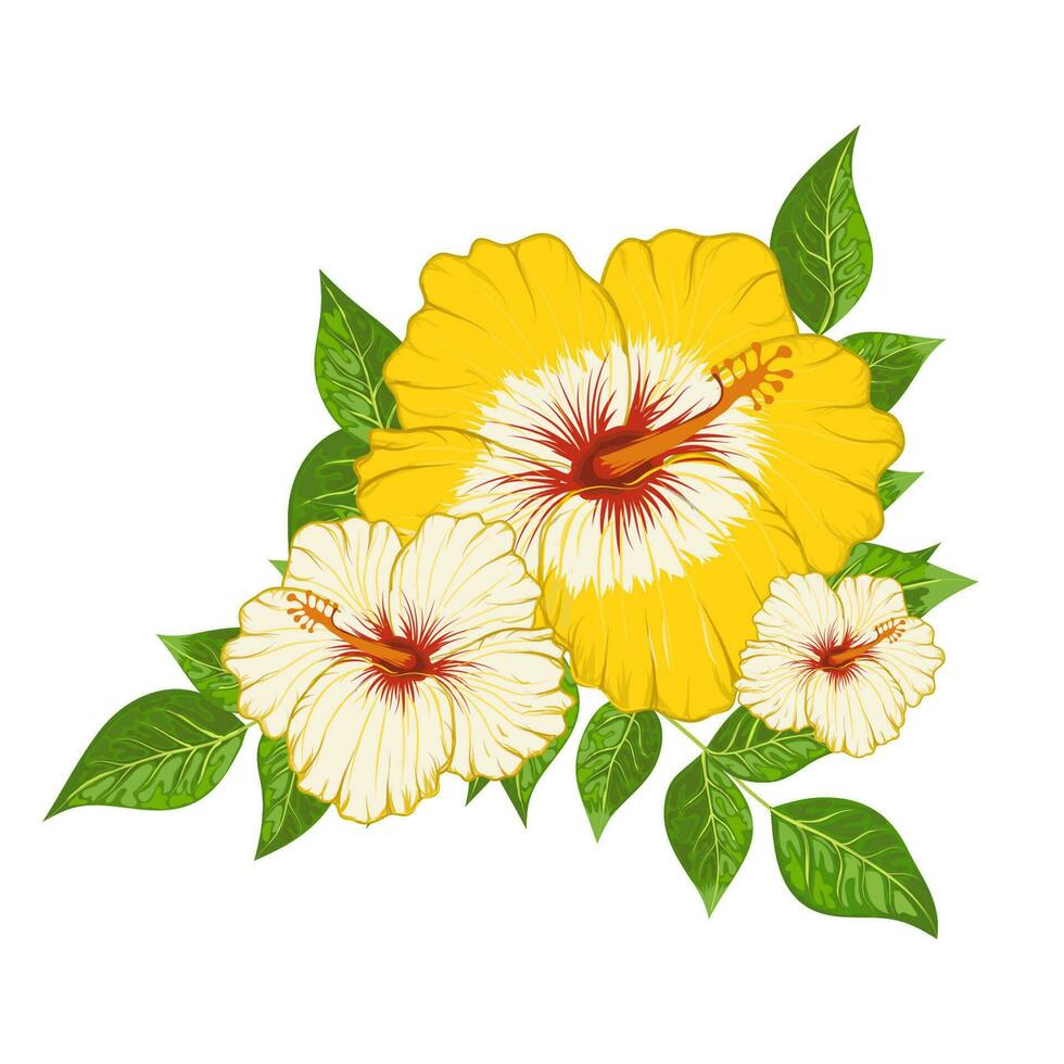 Composition of hibiscus flowers and leaves vector illustration