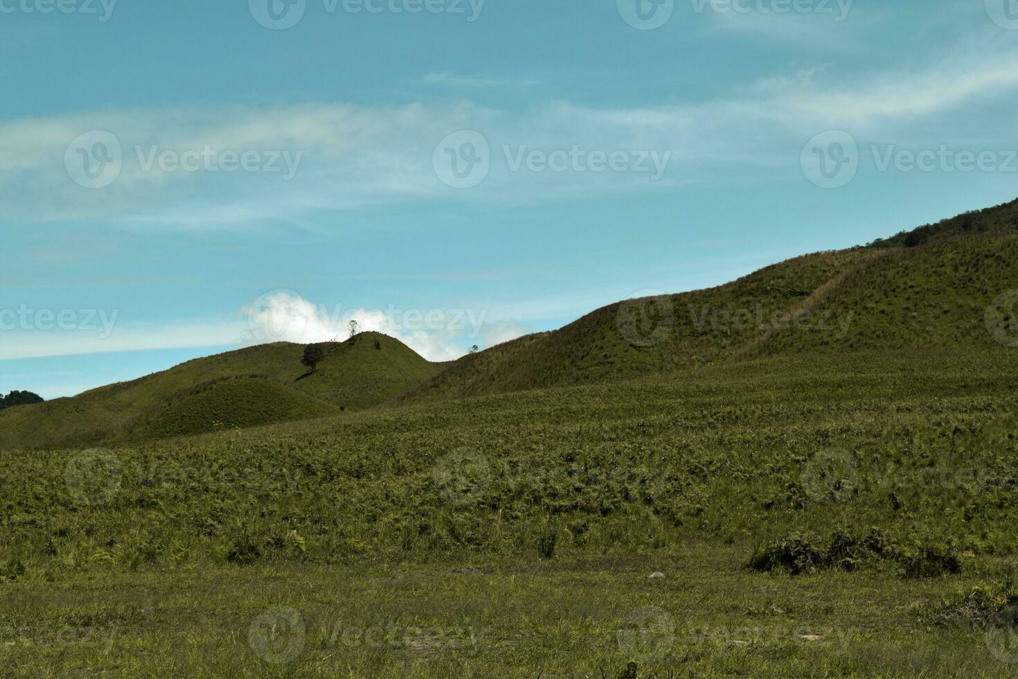 Scenic Green grass field view of rolling countryside green farm fields photo