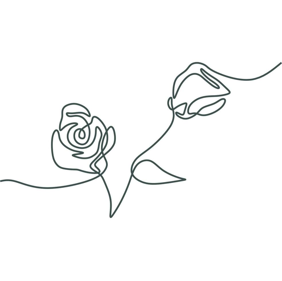 flower line art drawing vector