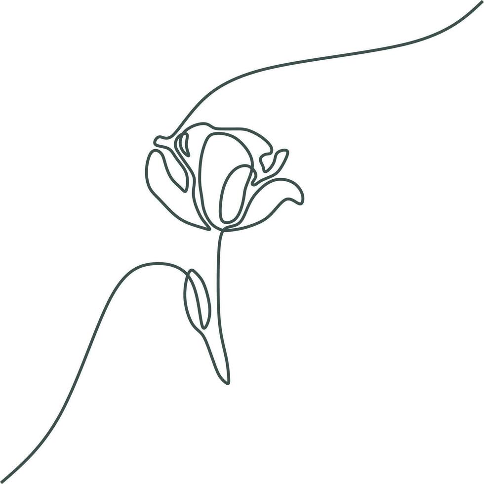 flower line art drawing vector