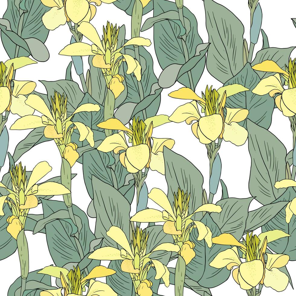 Seamless pattern with yellow canna lily on white background vector