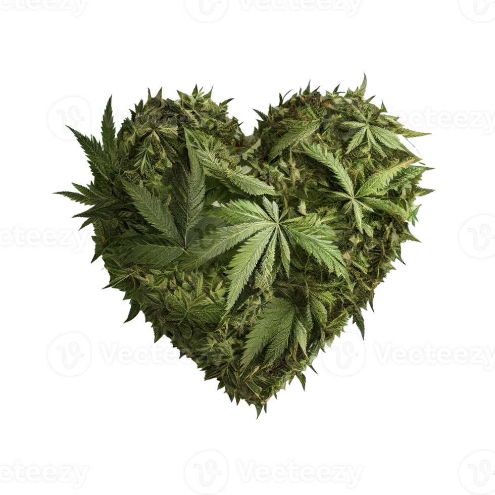 Heart shape made of cannabis leaves on transparent background, created with png