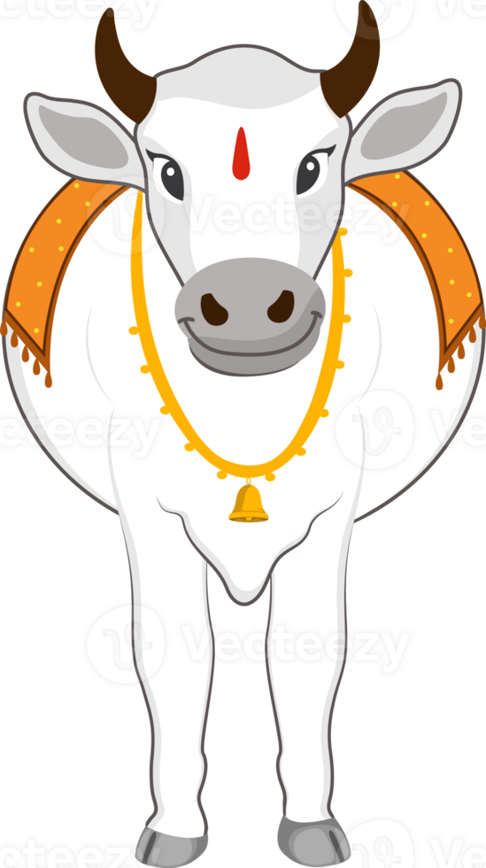 Front View Of Standing Bull Or Cow Isolated. png