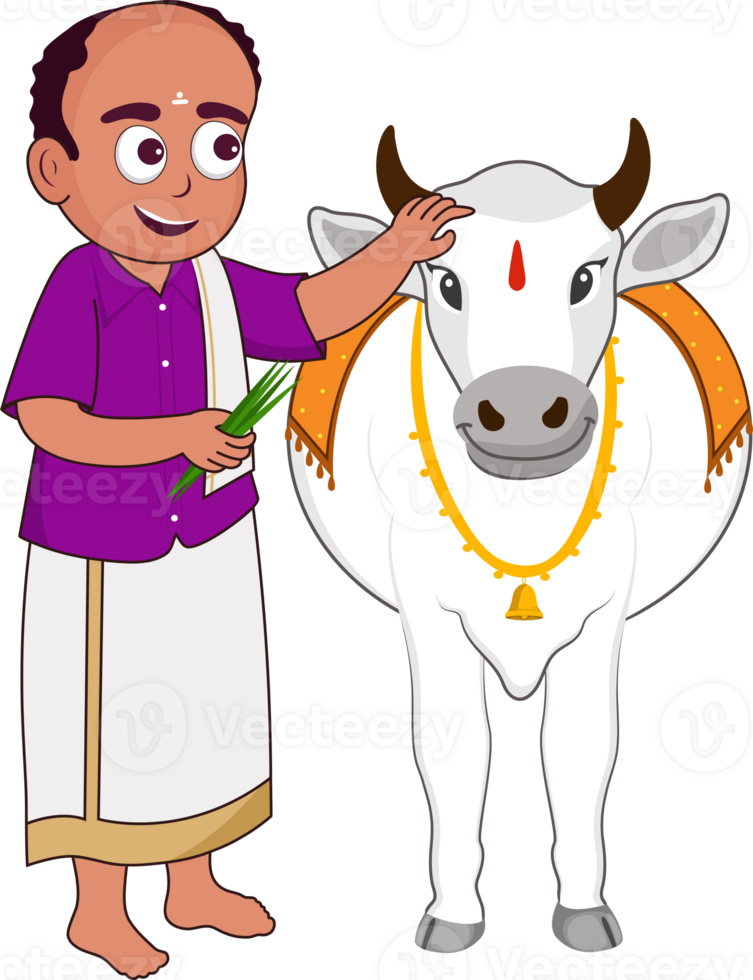 South Indian Man Feeding Grass To A Bull Or Cow Illustration. png