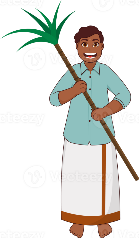 Cheerful South Indian Man Holding Sugarcane In Standing Pose. png