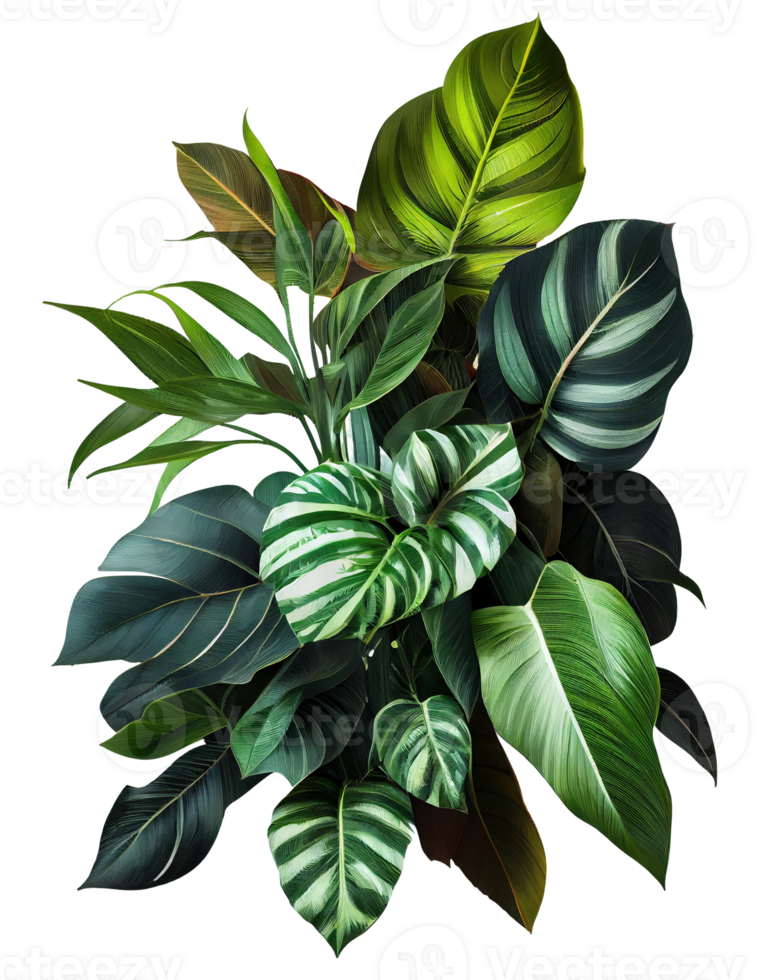 Tropical leaves foliage plant bush floral arrangement on transparent background, created with png