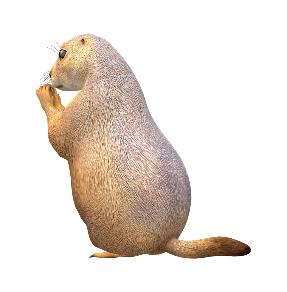 prairie chien isolé sur une transparent Contexte png