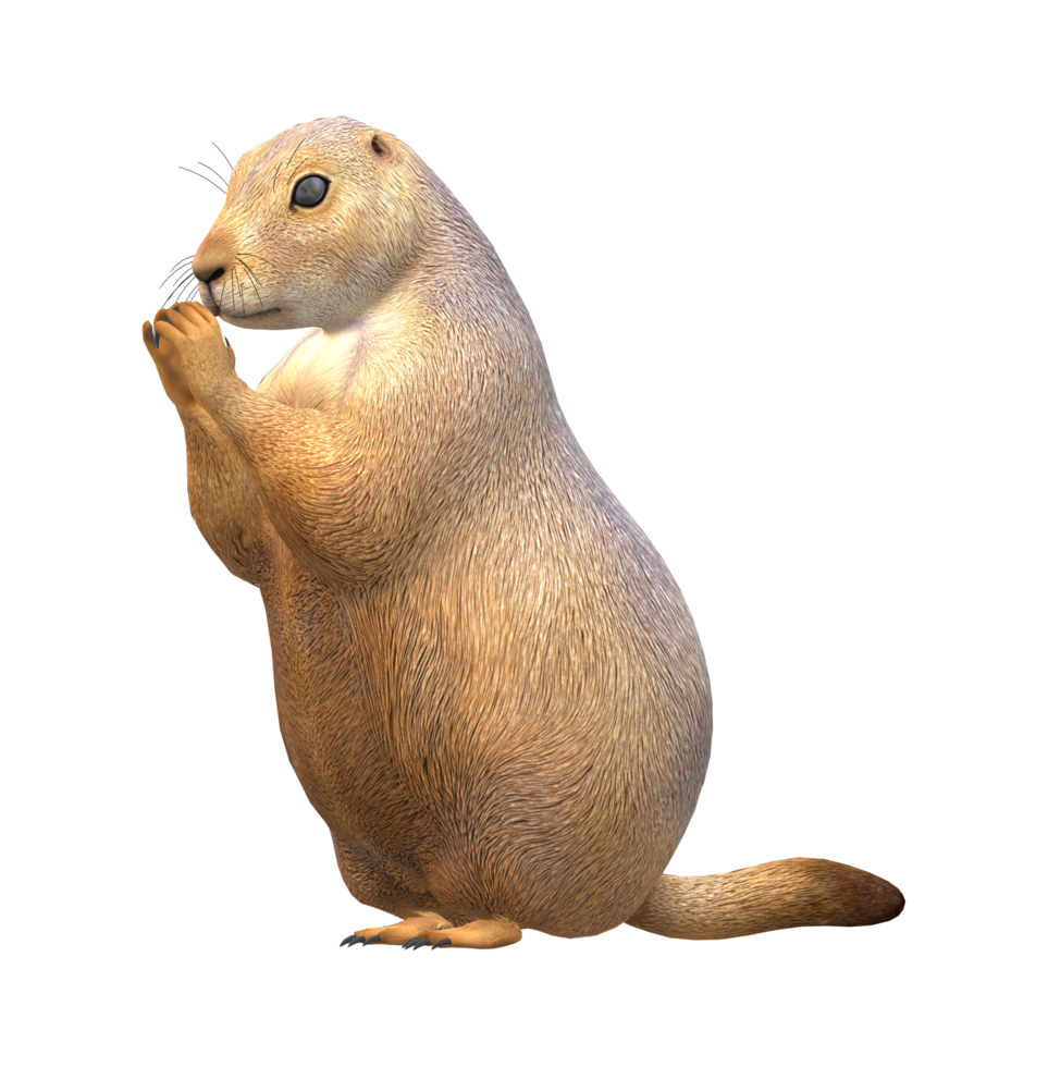 prairie chien isolé sur une transparent Contexte png