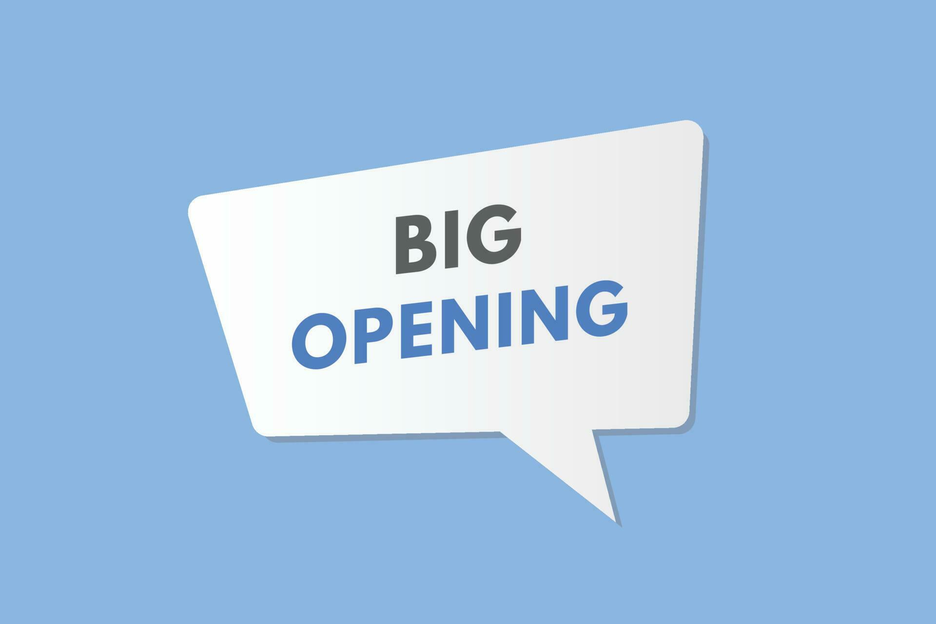 Big Opening text Button. Big Opening Sign Icon Label Sticker 
