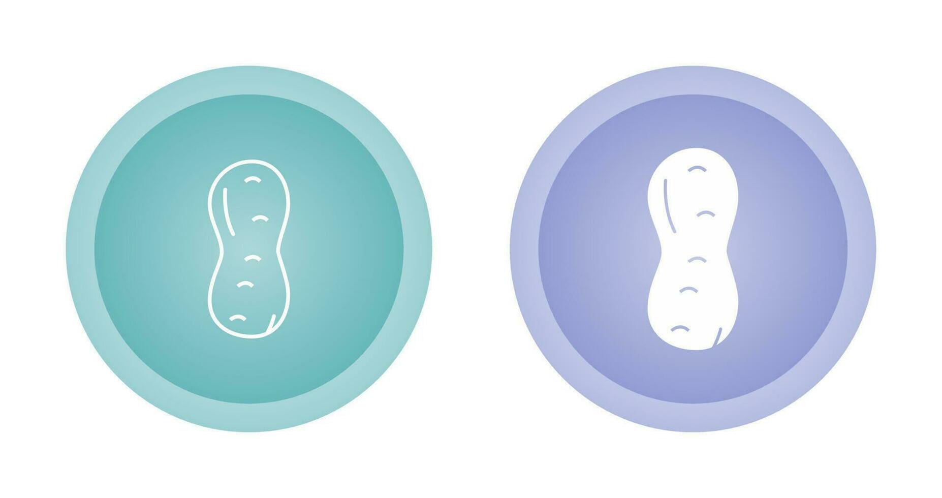 Peanut Vector Icon