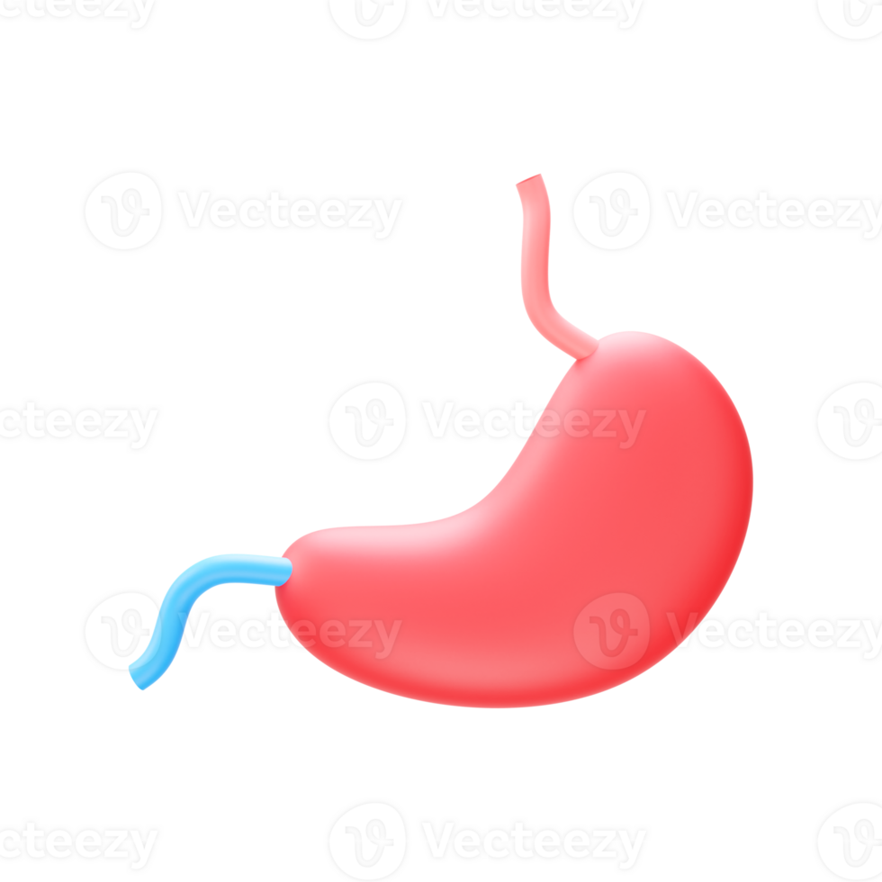 3D Render Of Stomach Element In Blue And Red Color. png