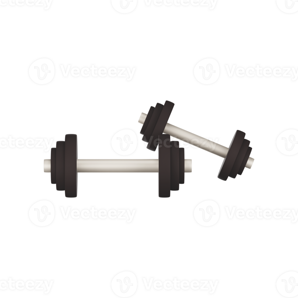 Two Dumbbell 3D Icon In Grey Color. png