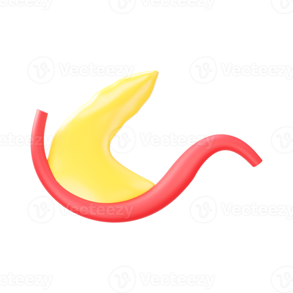 Yellow And Red Illustration Of 3D Pancrease Element. png