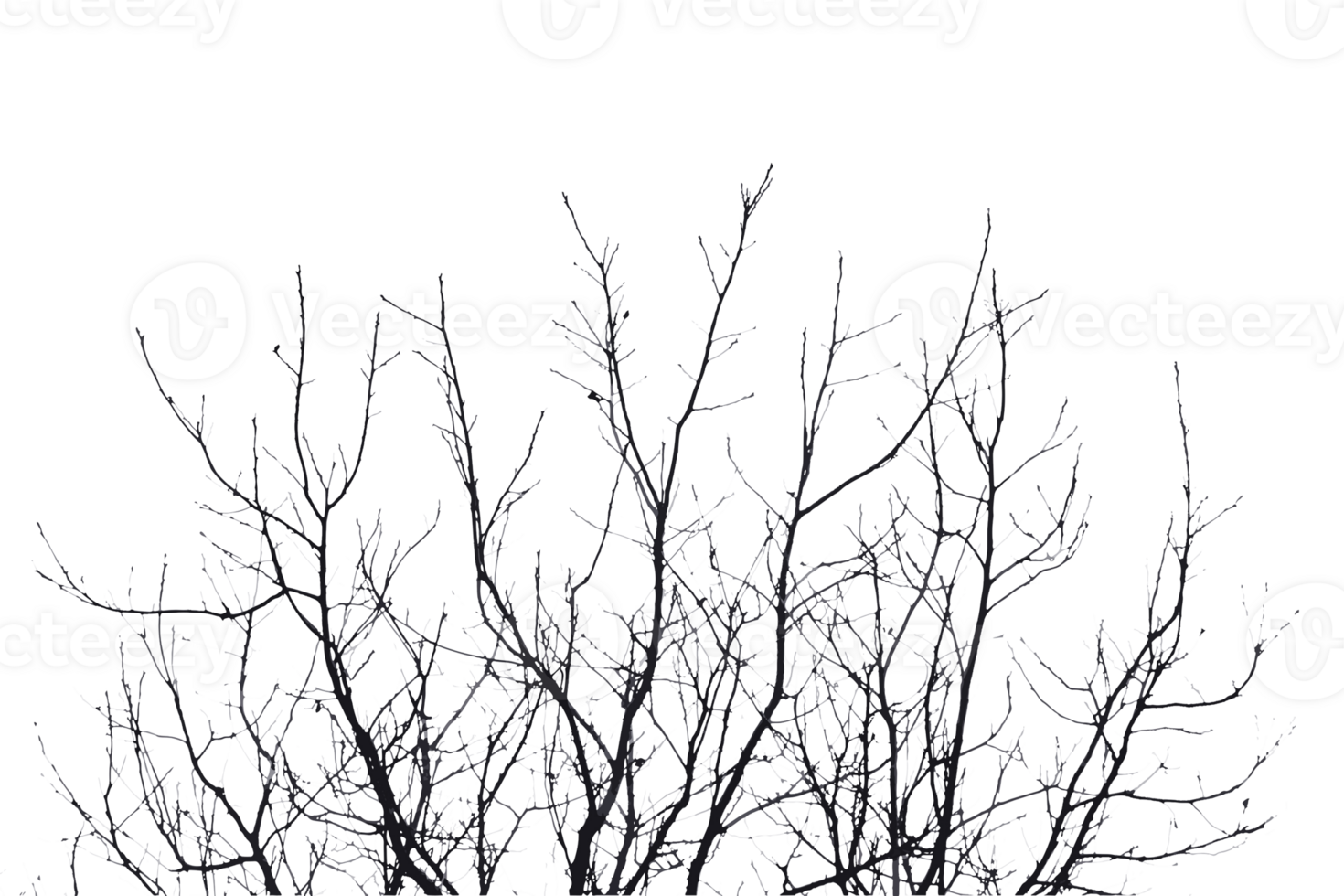 Rustic grunge texture with grain and stains. Abstract noise background. PNG graphic illustration with transparent background.