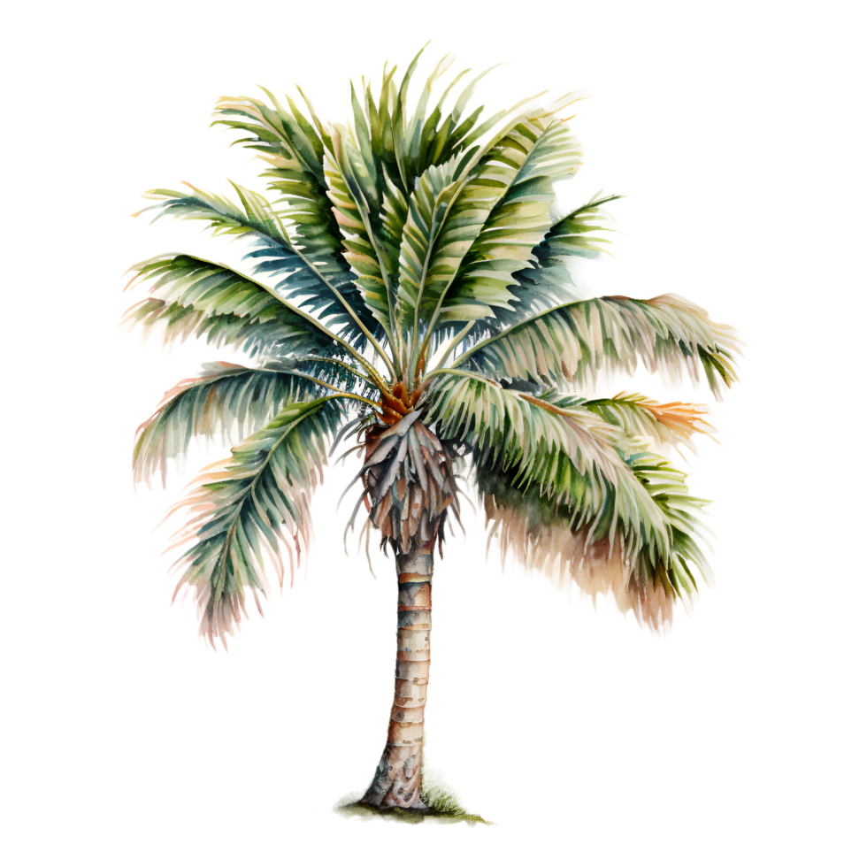 Aquarell Palme Baum Clip Art ai generiert png