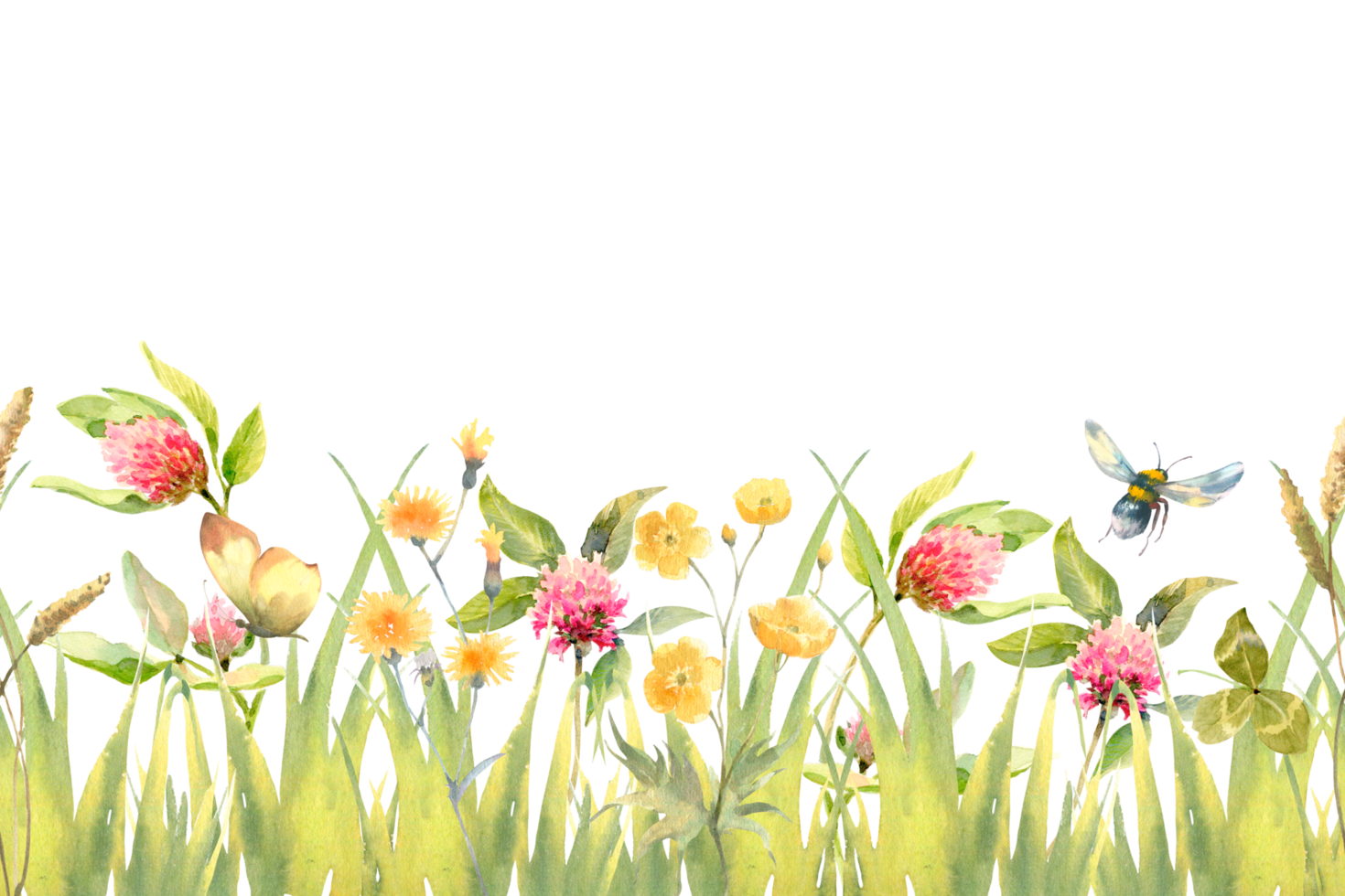 Watercolor hand drawn meadow herbal seamless border with green grass, red clover flowers and buttercup. png