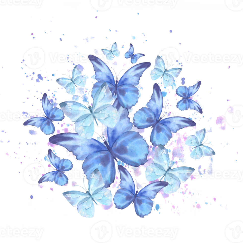 acquerello illustrazione con delicato farfalle siamo blu, volante nel il cerchio con spruzzata. per il design e decorazione di cornici, striscioni, cartoline, certificato. png