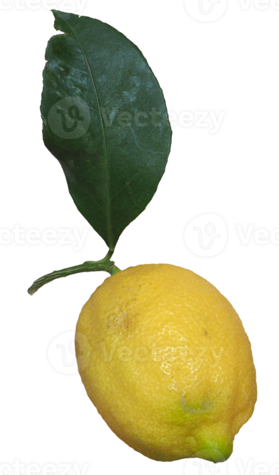 lemon fruit transparent PNG