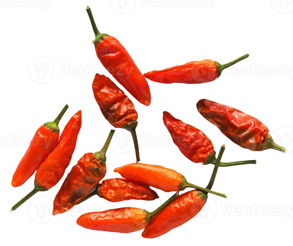 chili pepper transparent PNG