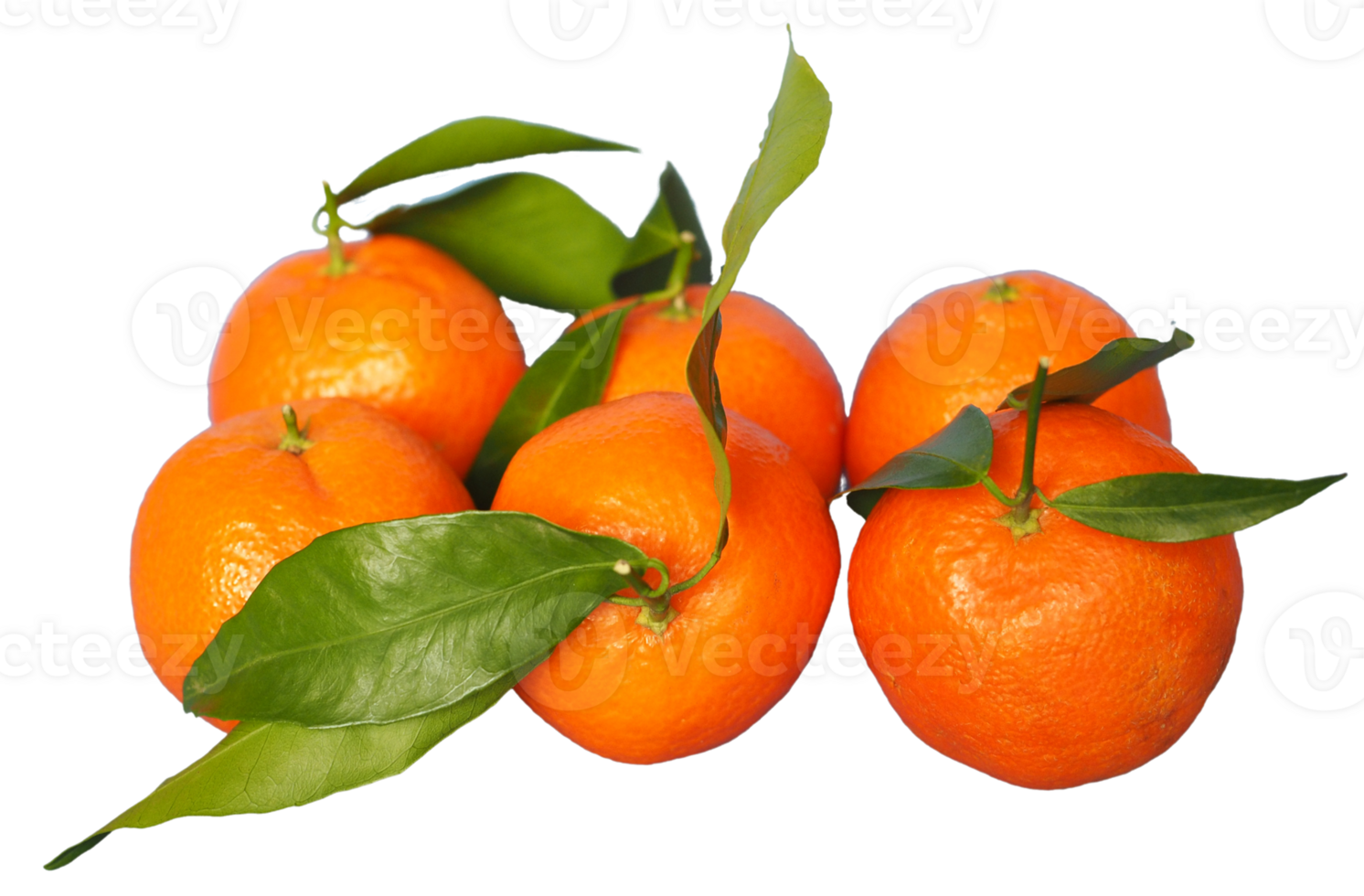 tangerine fruit transparent PNG 23655365 PNG