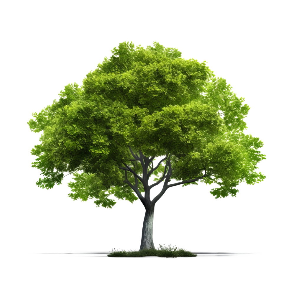 verde árbol aislado. ilustración ai generativo png