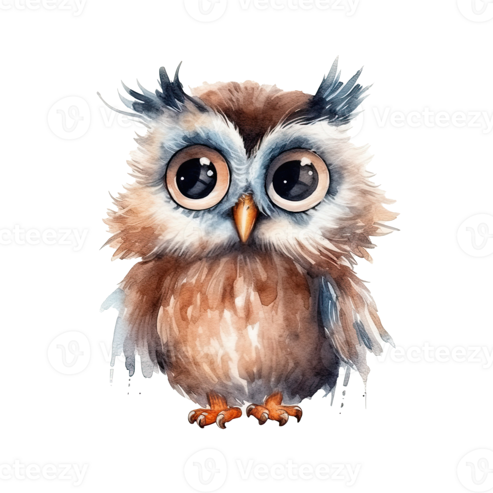 Cute watercolor owl. Illustration png