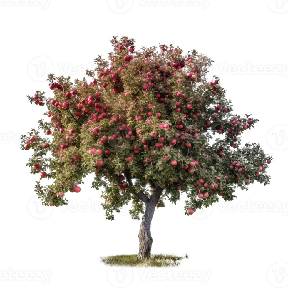 Pomme arbre isolé. illustration ai génératif png