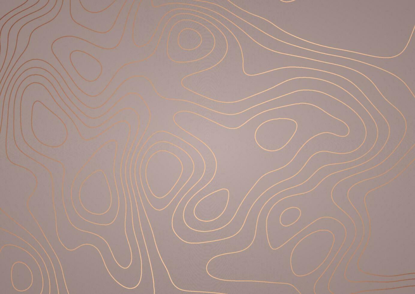 Abstract topography style background vector