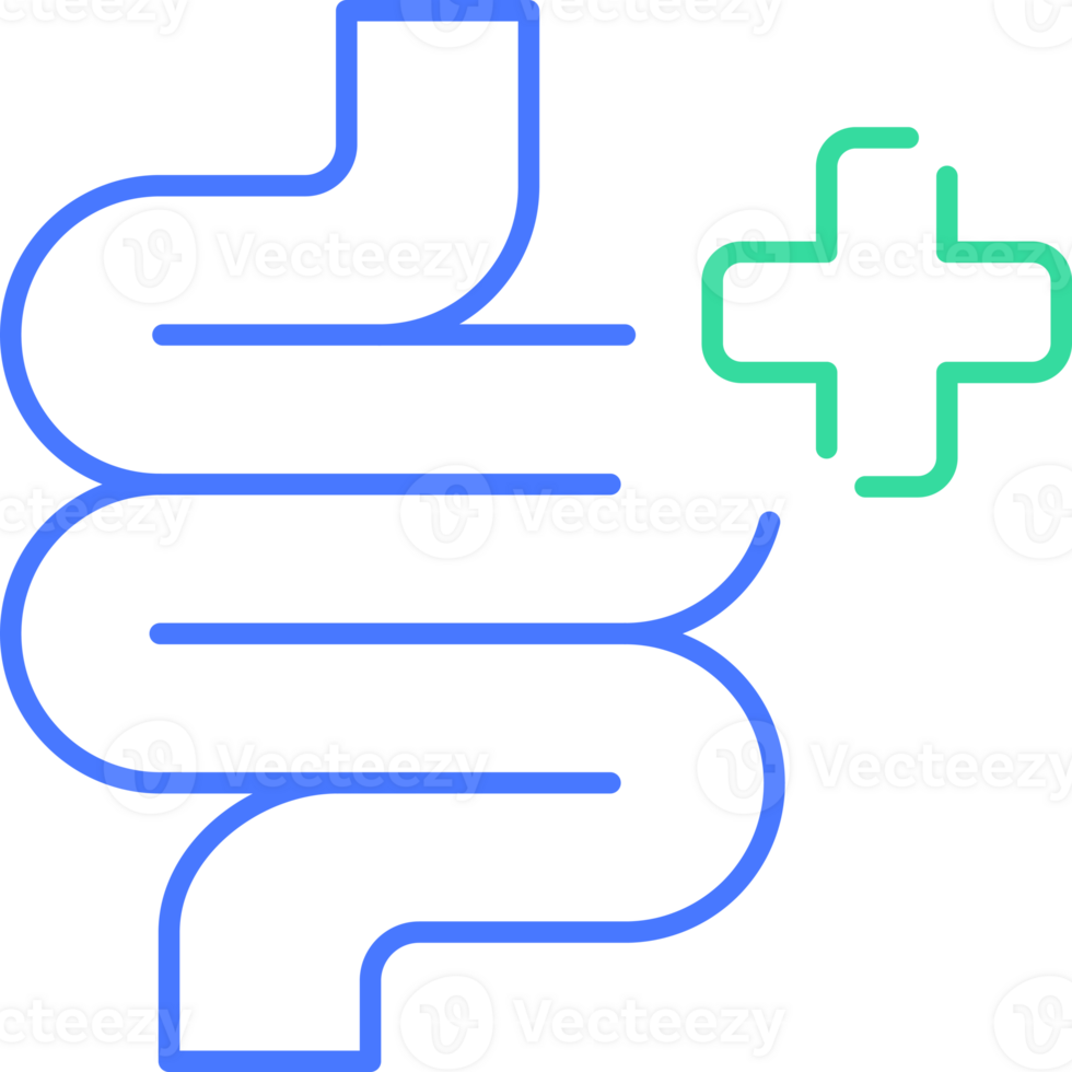 Intestine line icon png