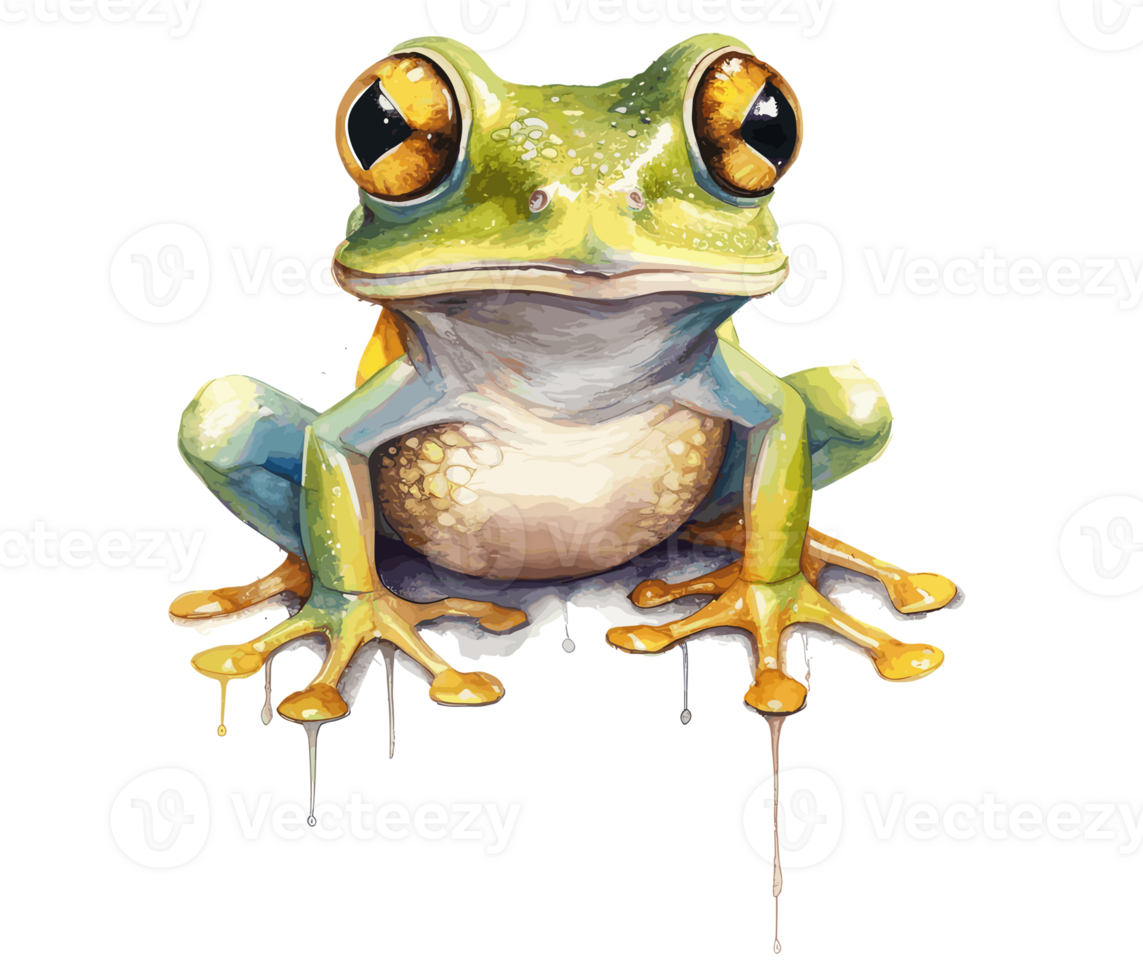 Baby Frog Watercolor . png