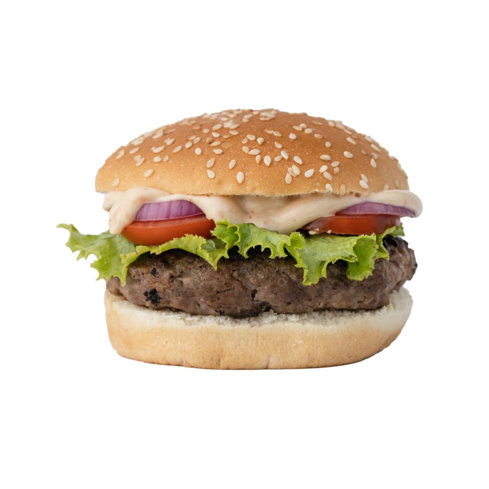 caldo hamburger gratuito png