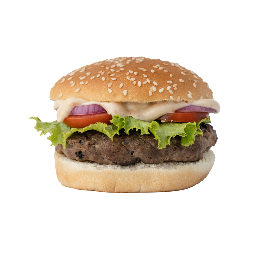 chaud Burger gratuit png