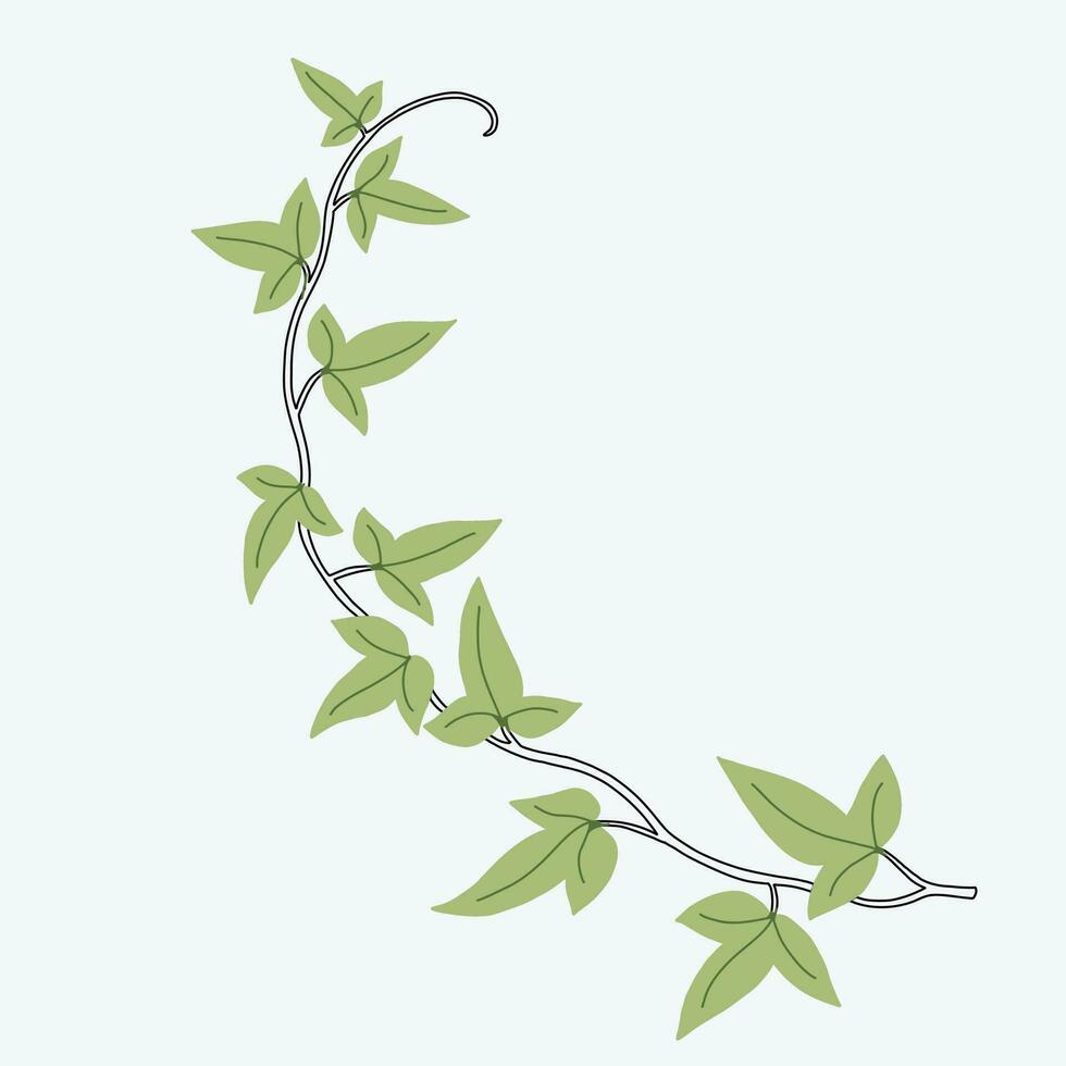 Floral ivy drawing decorative ornament flat design. vector