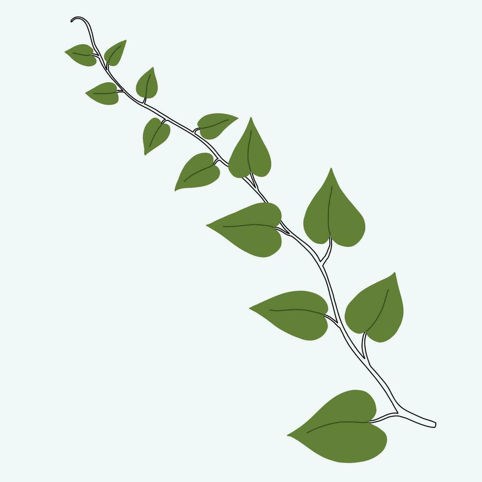 Floral ivy drawing decorative ornament flat design. vector