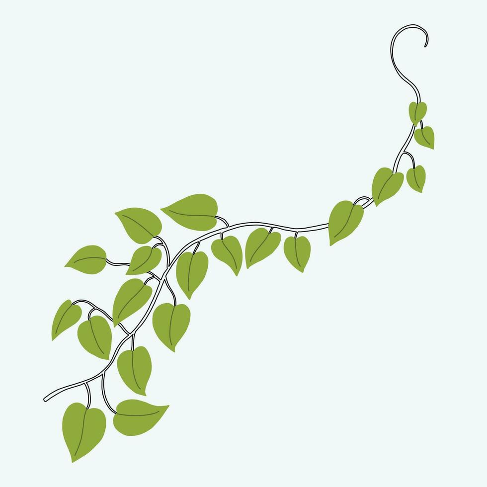 Floral ivy drawing decorative ornament flat design. vector