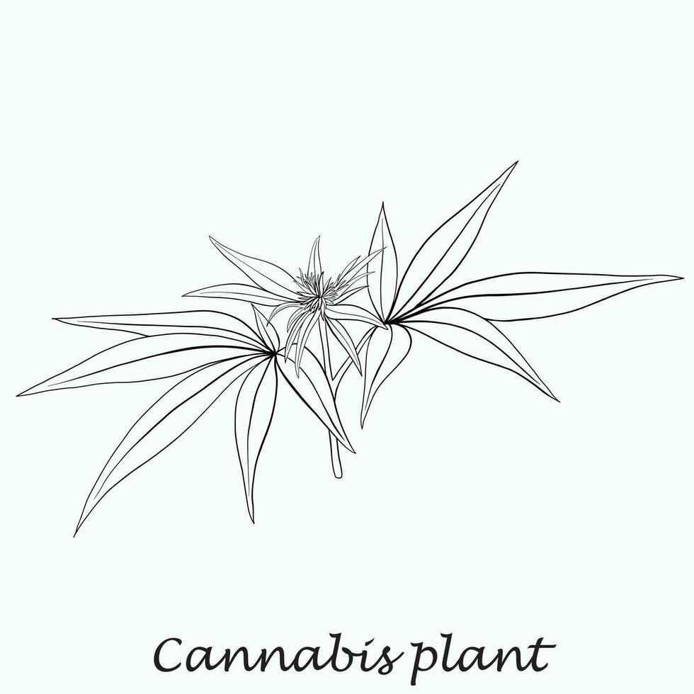 simplicidad planta de cannabis dibujo a mano alzada diseño plano. vector