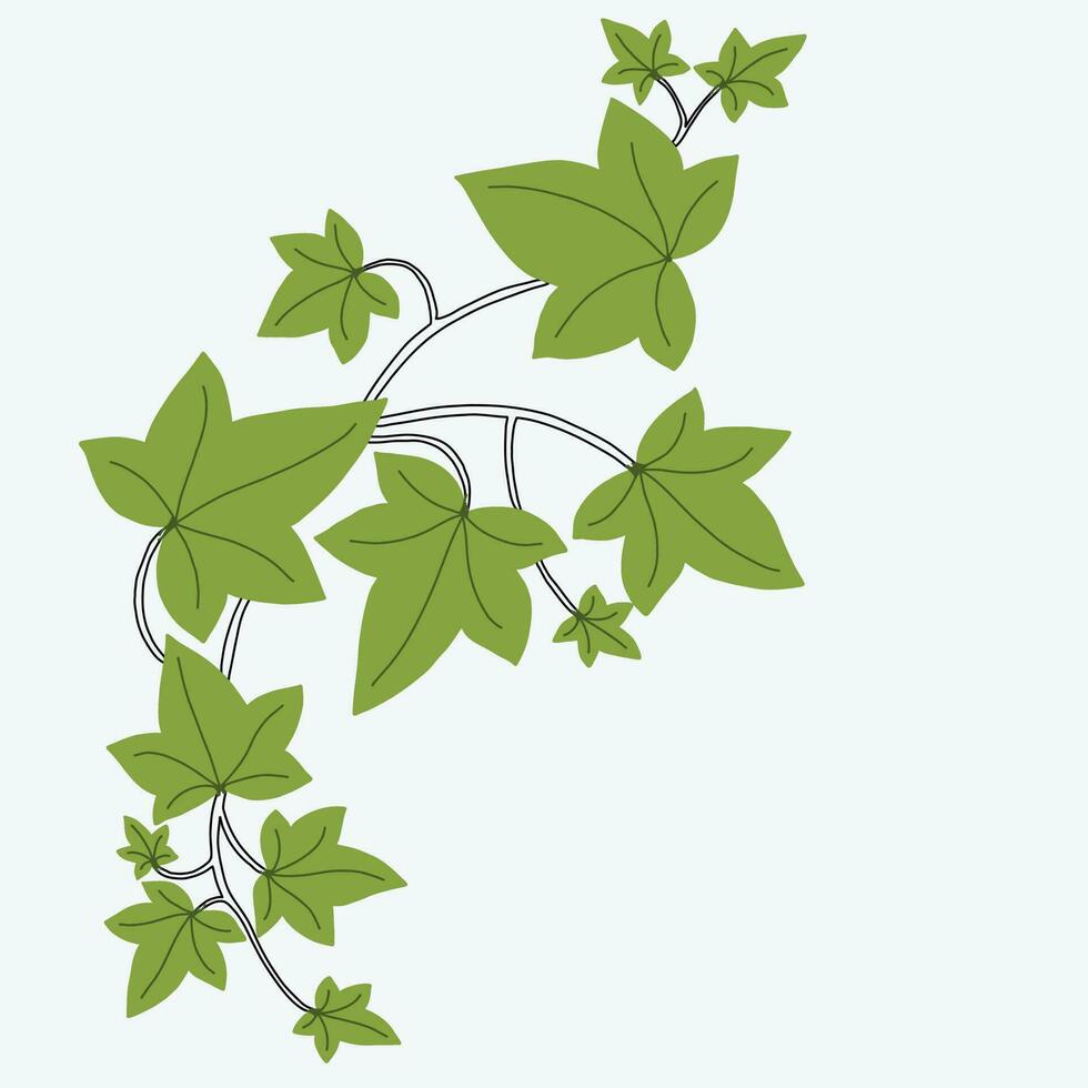 Floral ivy drawing decorative ornament flat design. vector