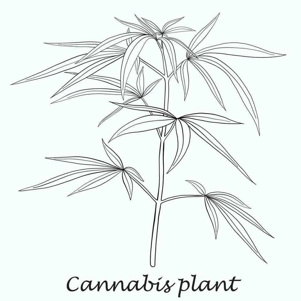 simplicidad planta de cannabis dibujo a mano alzada diseño plano. vector