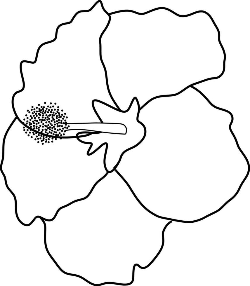 Skecth of Hibiscus Flower vector