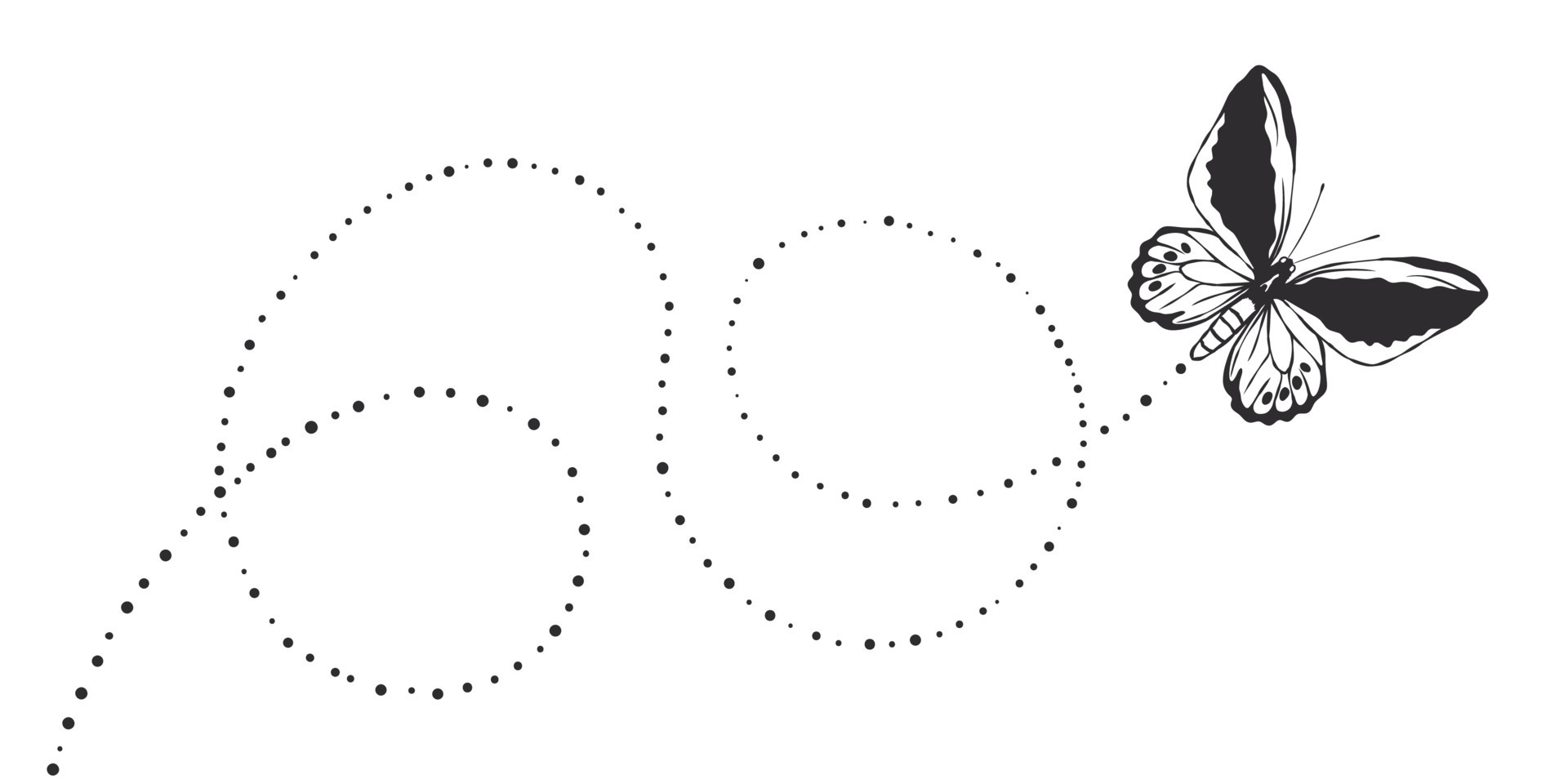 Butterfly flight trail. Painted butterfly. Flying butterfly. Vector