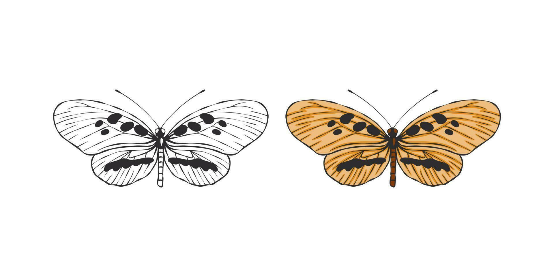Butterflies images. Hand drawn butterfly. Pictures of funny butterflies. Vector scalable graphics