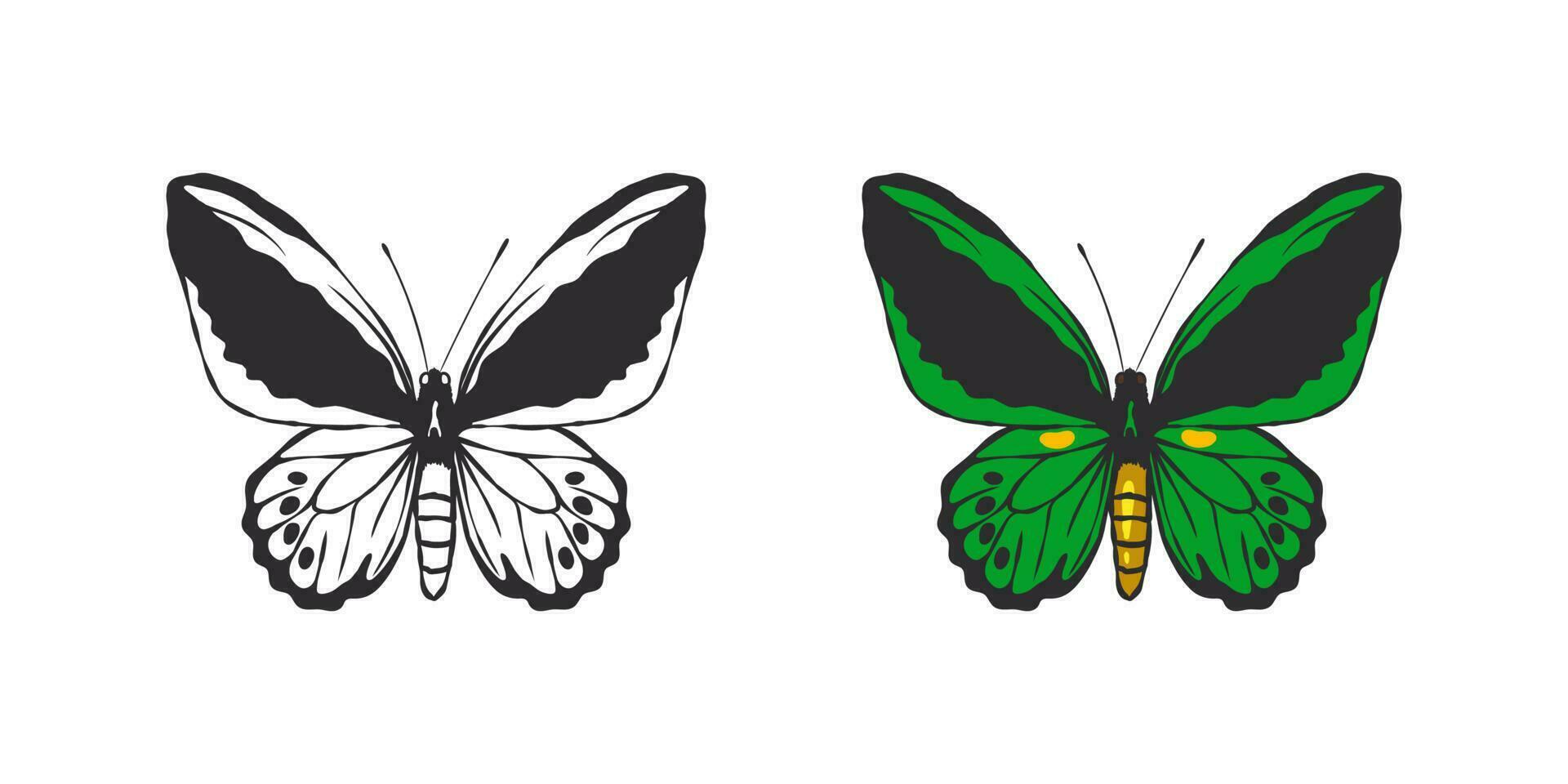 Butterflies images. Hand drawn green butterfly. Pictures of funny butterflies. Vector scalable graphics