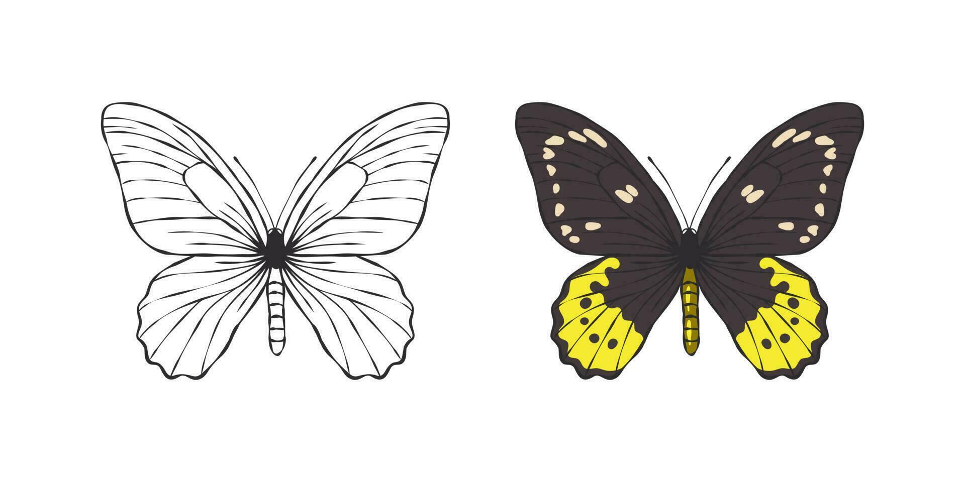 mariposas imágenes pintado mariposa. imágenes de gracioso mariposas vector escalable gráficos