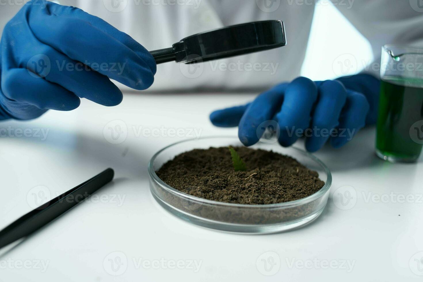 soil research laboratory biology analysis photo