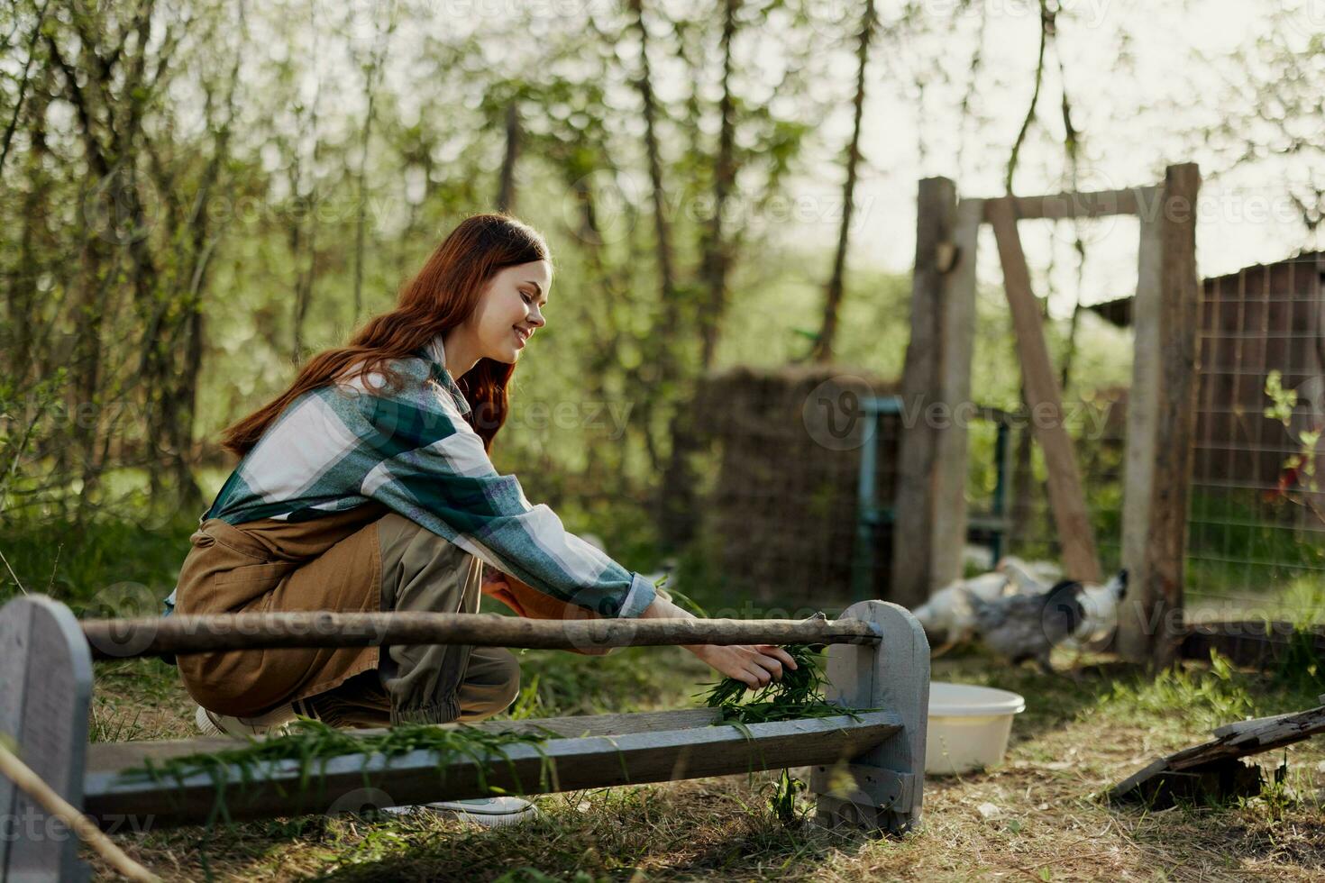 A female bird farm worker smiles and is happy pouring food into the chicken feeder in the fresh air sitting on the green grass photo