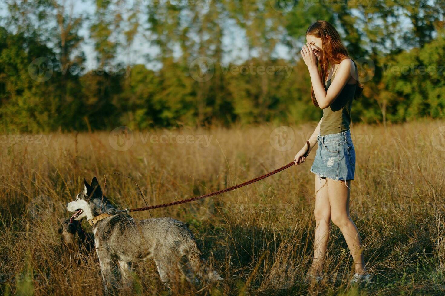 Woman and her husky dog happily walking and running in the grass in the field smile with teeth autumn sunset walk with a pet, traveling with a friend dog happiness photo